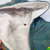 پافر بچهگانه سبز رنگ با برجستگی شاخ دایناسور در پشت