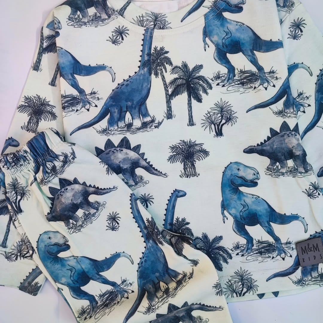 بلوز و شلوار طرح دایناسوری بچگانه