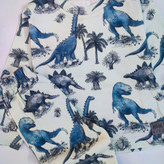 بلوز و شلوار طرح دایناسوری بچگانه