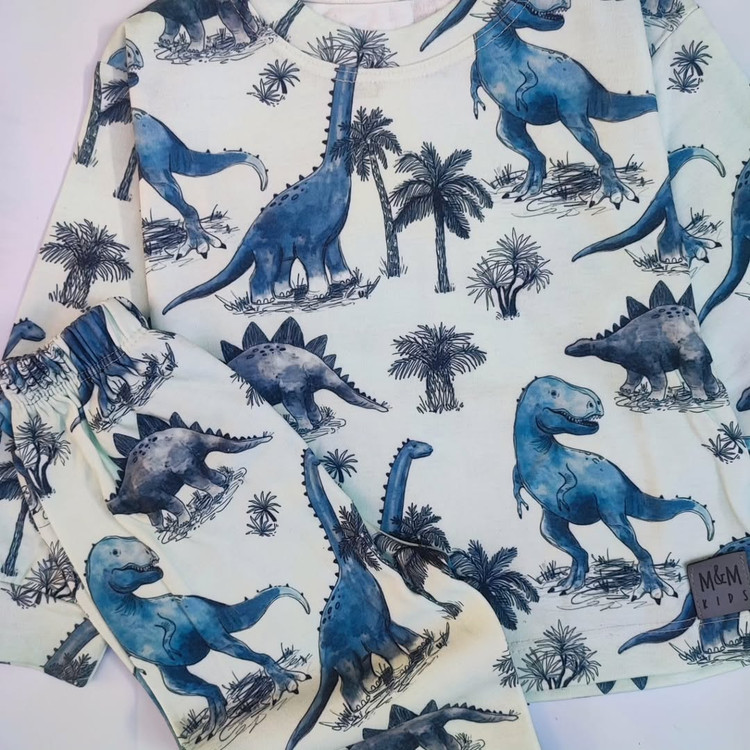 بلوز و شلوار طرح دایناسوری بچگانه